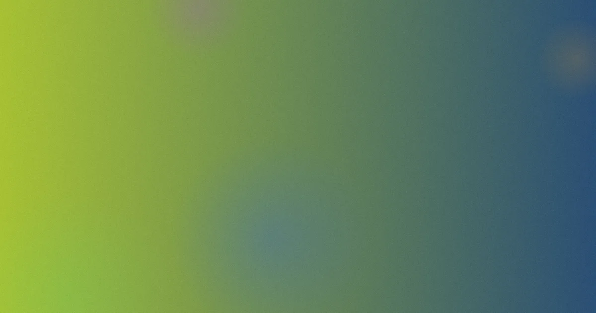 3d肉浦团推荐新手看法